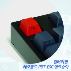 레오폴드 PBT  ESC 염료승화 컬러키캡 - 영문측각(정면)